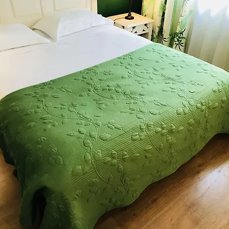 페스티발 3* 칸느