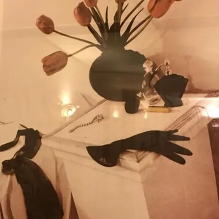 페스티발 3* 칸느