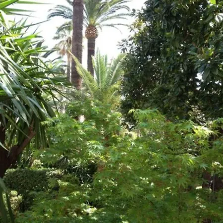 페스티발 3* 칸느