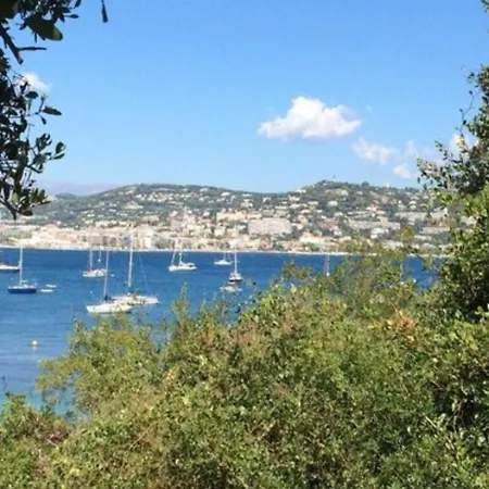 Le Festival فندق