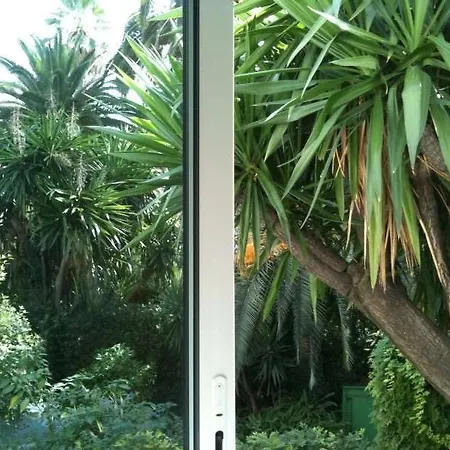 فندق Le Festival كان