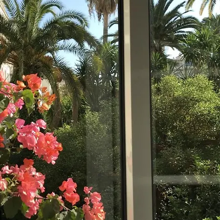 Hotel Le Festival 3*