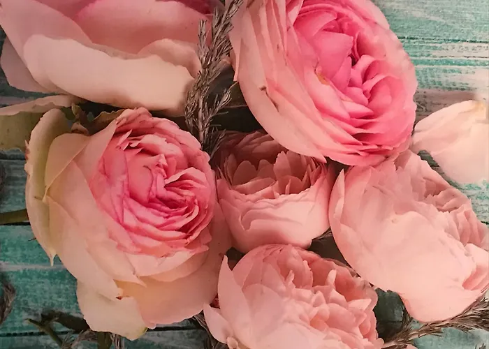 Ξενοδοχείο Le Festival