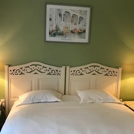 Hotel Le Festival 3*