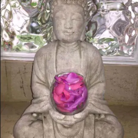 Le Festival Hotel 3*