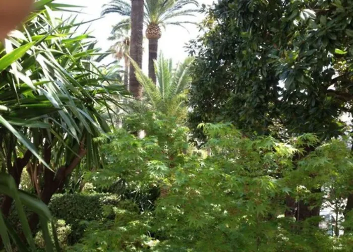 Le Festival 3* קאן