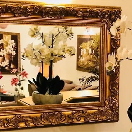 Le Festival מלון 3*