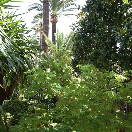 Le Festival מלון