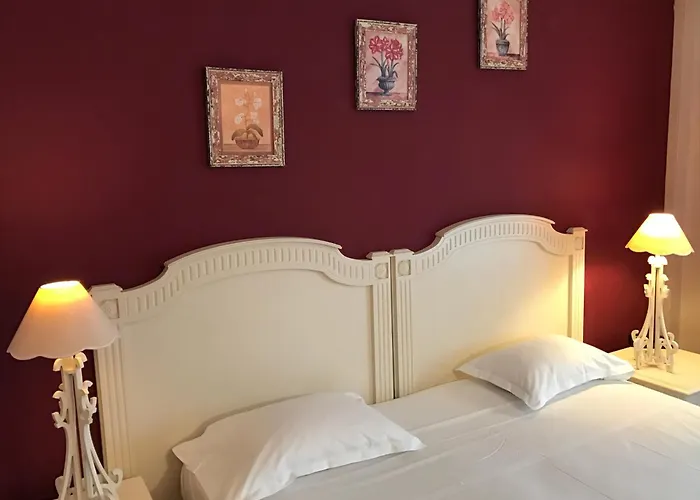 Le Festival Otel Cannes